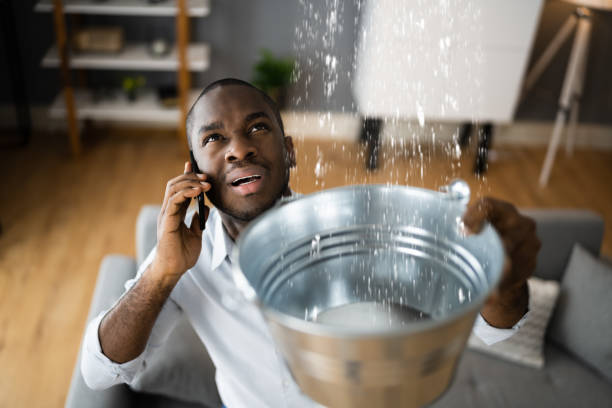 Best Local water damage restoration  in Milford City, CT