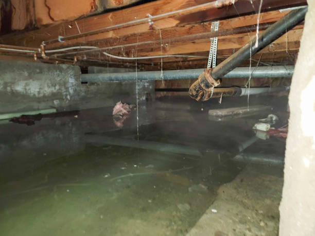 Water damage restoration insurance claims in Milford City, CT