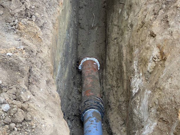 Best Flood damage cleanup  in Milford City, CT