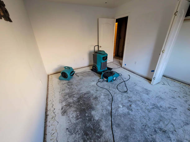 Best Water damage restoration services  in Milford City, CT