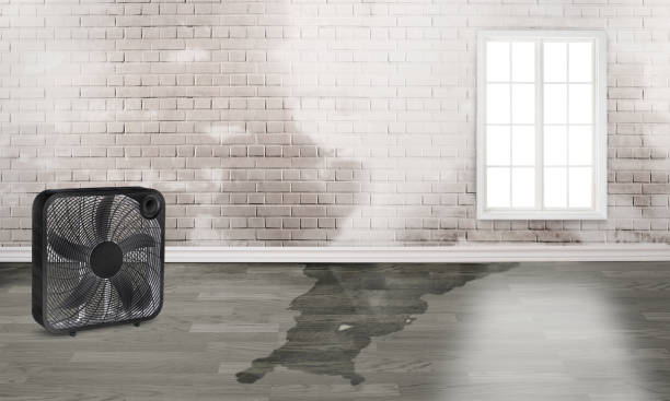 Carpet water damage restoration in Milford City, CT