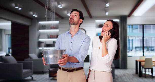 Best Sewage cleanup and water damage restoration  in Milford City, CT
