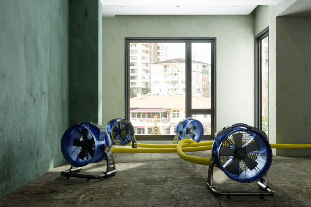 Best Water damage restoration near me  in Milford City, CT