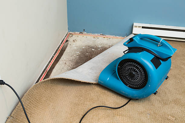 Best Flooded house restoration  in Milford City, CT